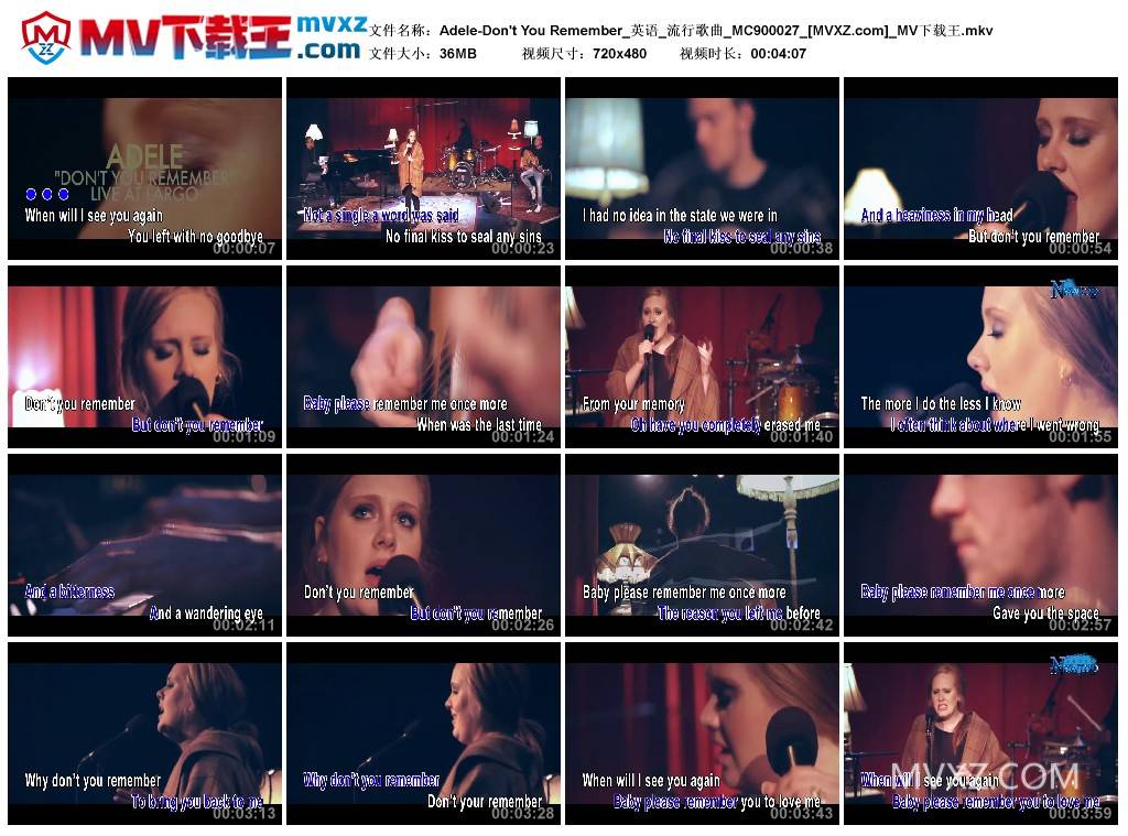 Adele-Don't You Remember_英语_流行歌曲_MC900027